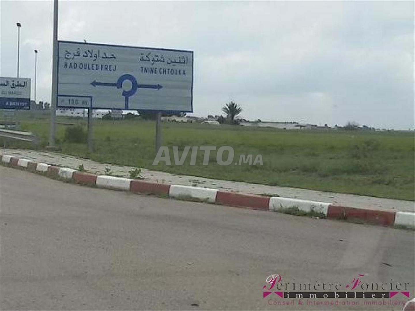 Tnine Chtouka beau terrain à vendre 10000m²