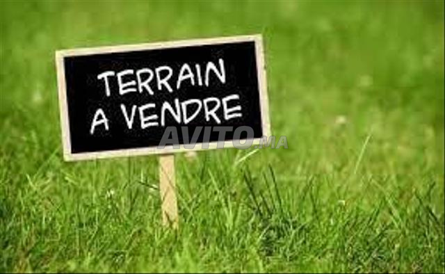 Grand terrain à vendre 2900m2 au cœur de BirKacem