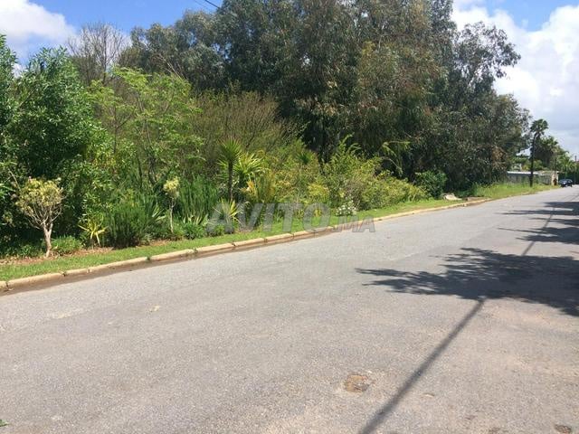 A vendre beau terrain 2000m2 très bien situé Souissi