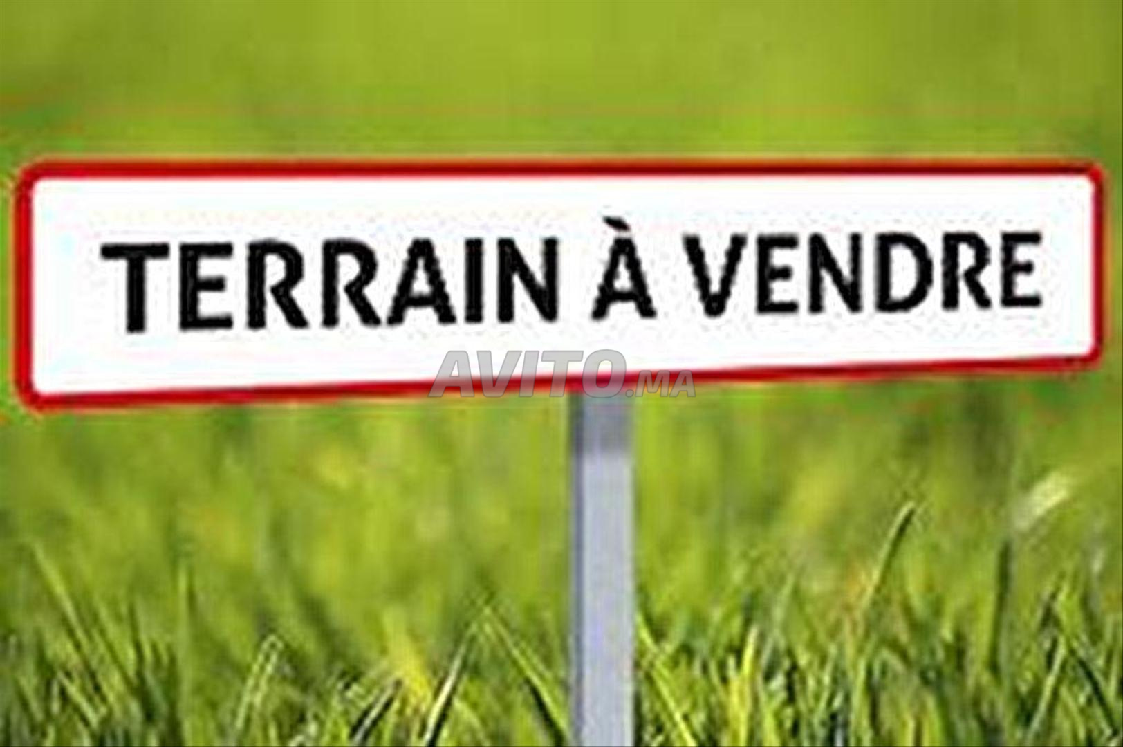 A vendre belleparcelle1860m2 lot AlMachri9 Souissi