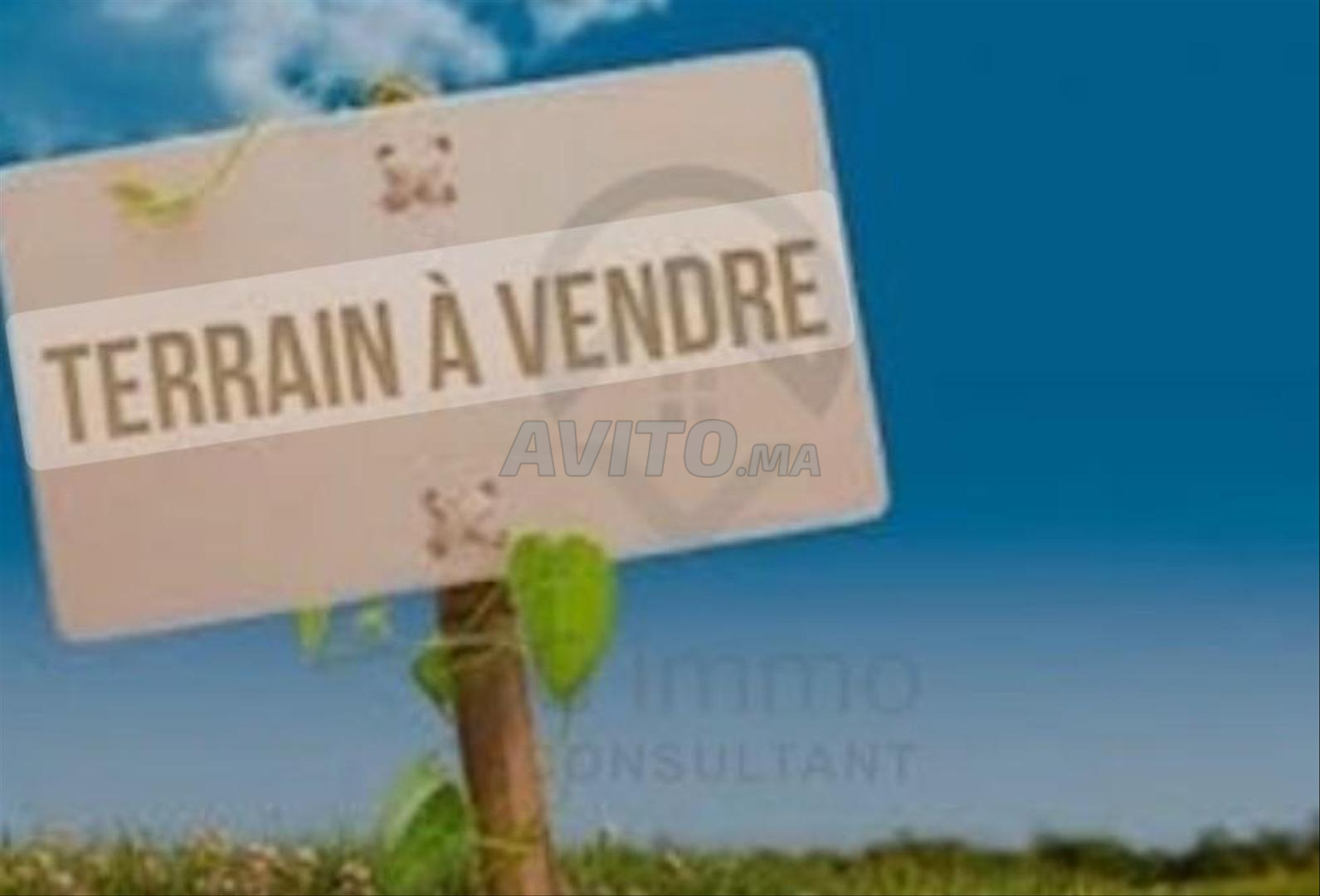 Terrain villa Hay Zaitoun à vendre 354 m² à Agadir