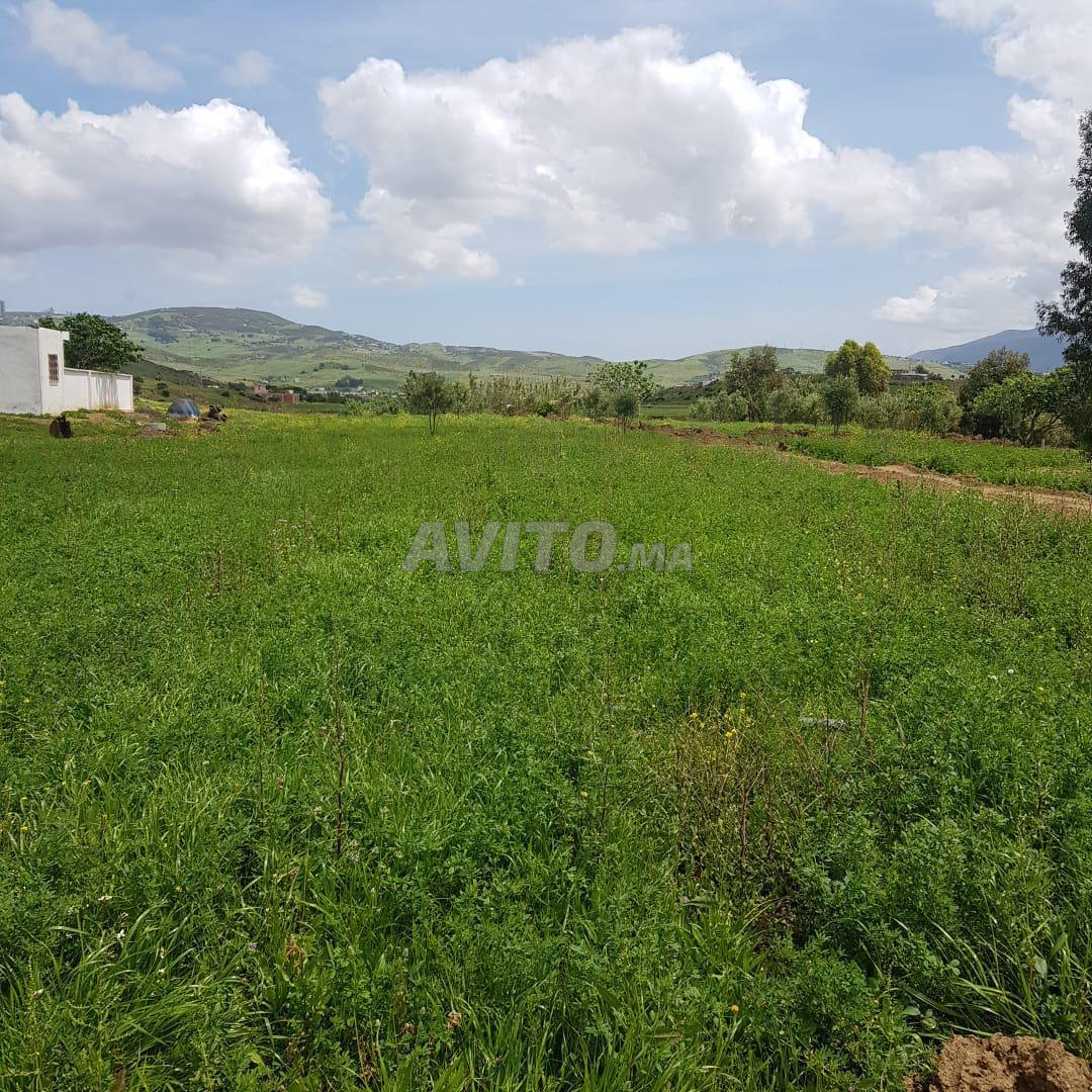 Terrain titré à vendre