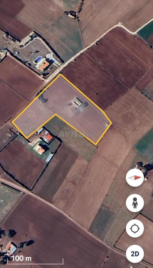 1 hectare et 2500 mètres titre foncier à Bir Jdid