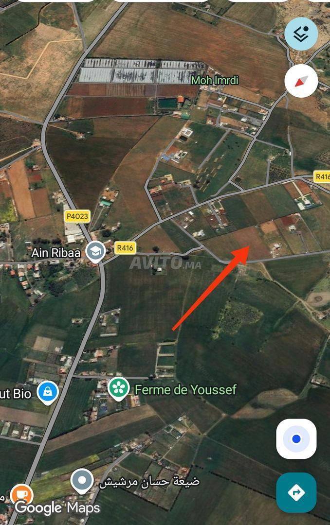 Terrain agricole à vendre à ribaa sidi Yahya