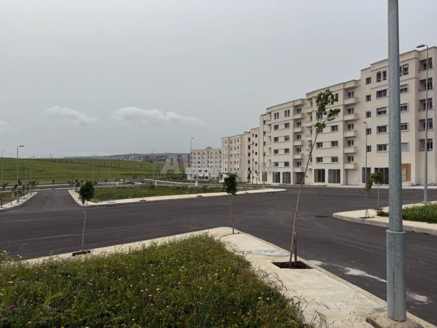 Terrains à vendre Musulma dans le lotissement Malak Aissa