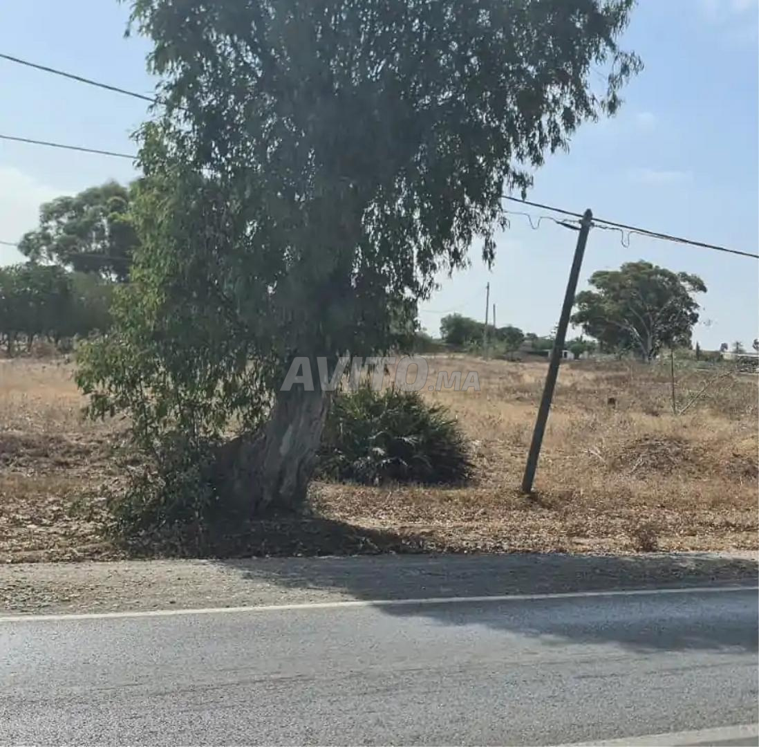 Terrain bien situé à vendre Près Fedalate