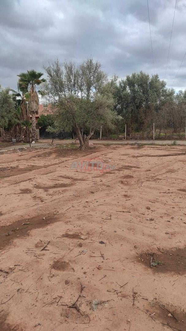Vente Terrain nu de 700 m2 à Marrakech