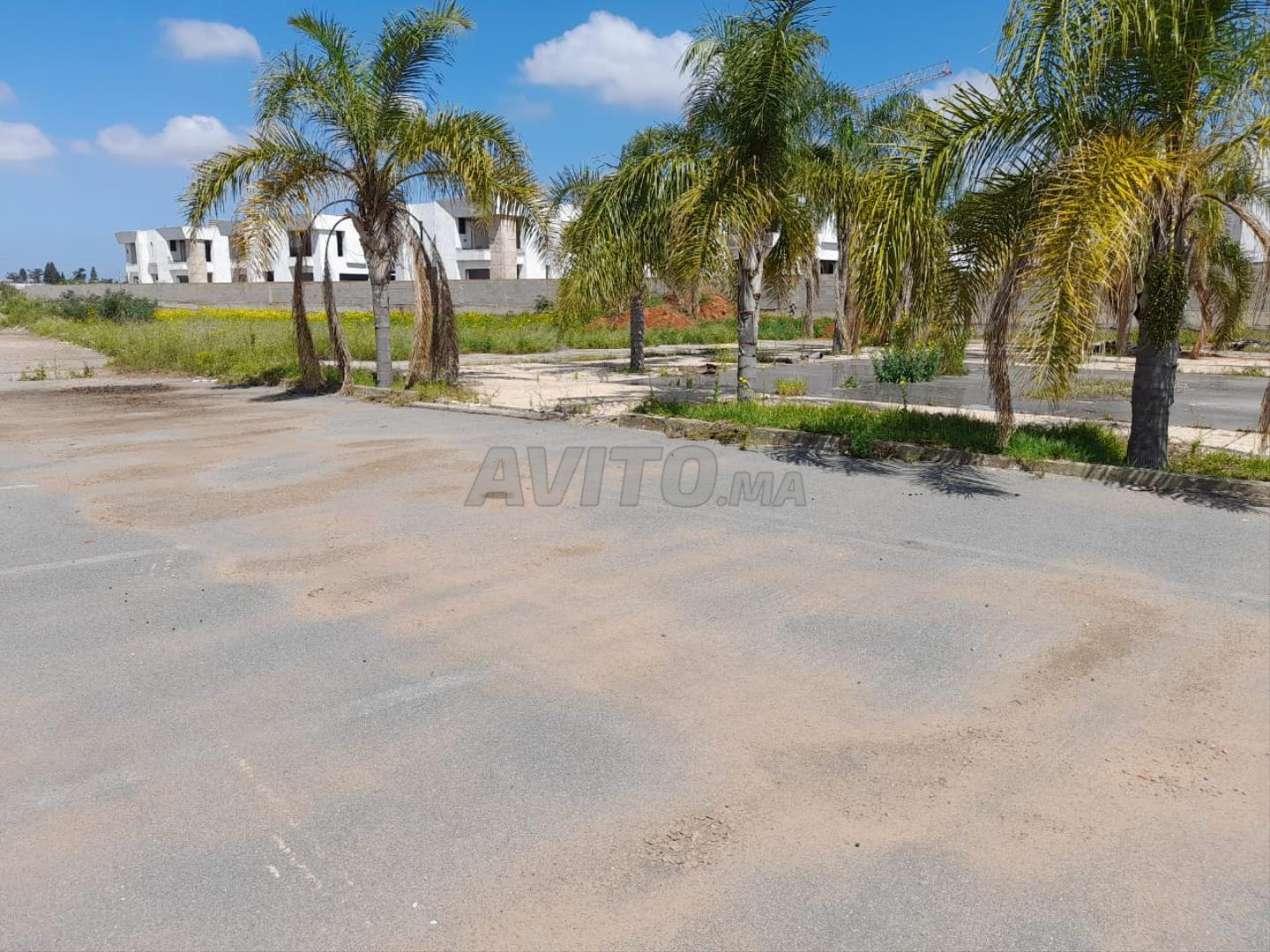 Terrain titré à vendre 6000 m² autorisé 5 villas