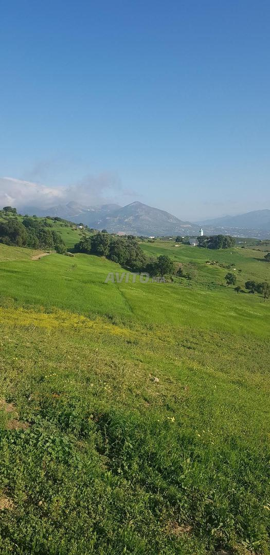 Terrain titré à vendre Tétouan