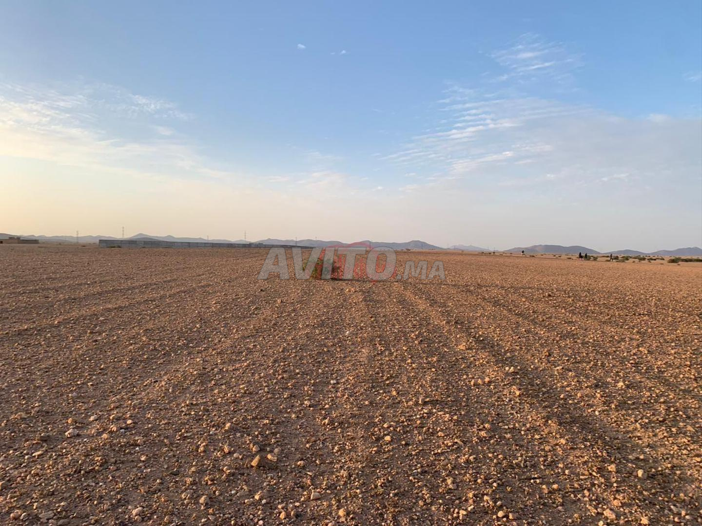 Vente Terrain nu de 76374 m² à Marrakech