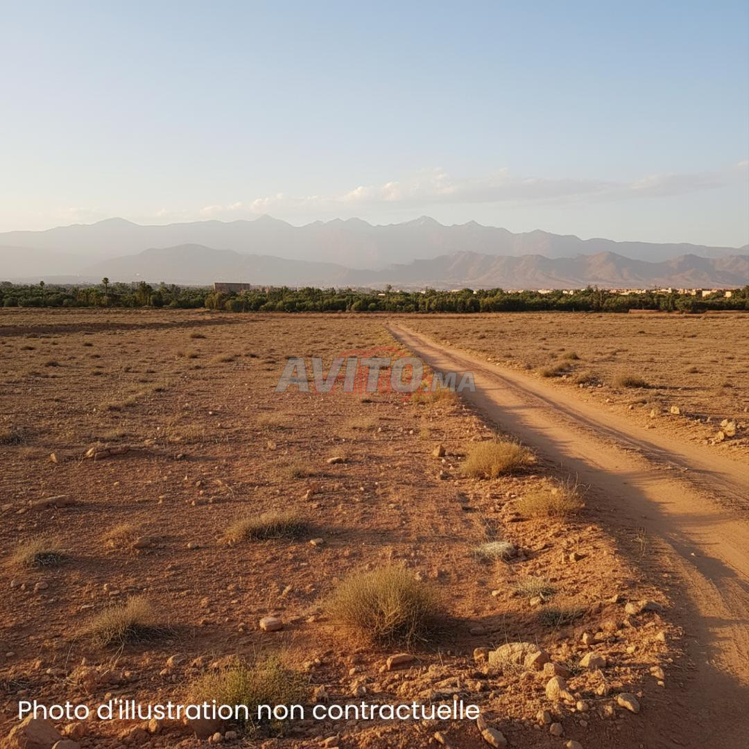 Vente Terrain nu de 20000 m2 à Marrakech