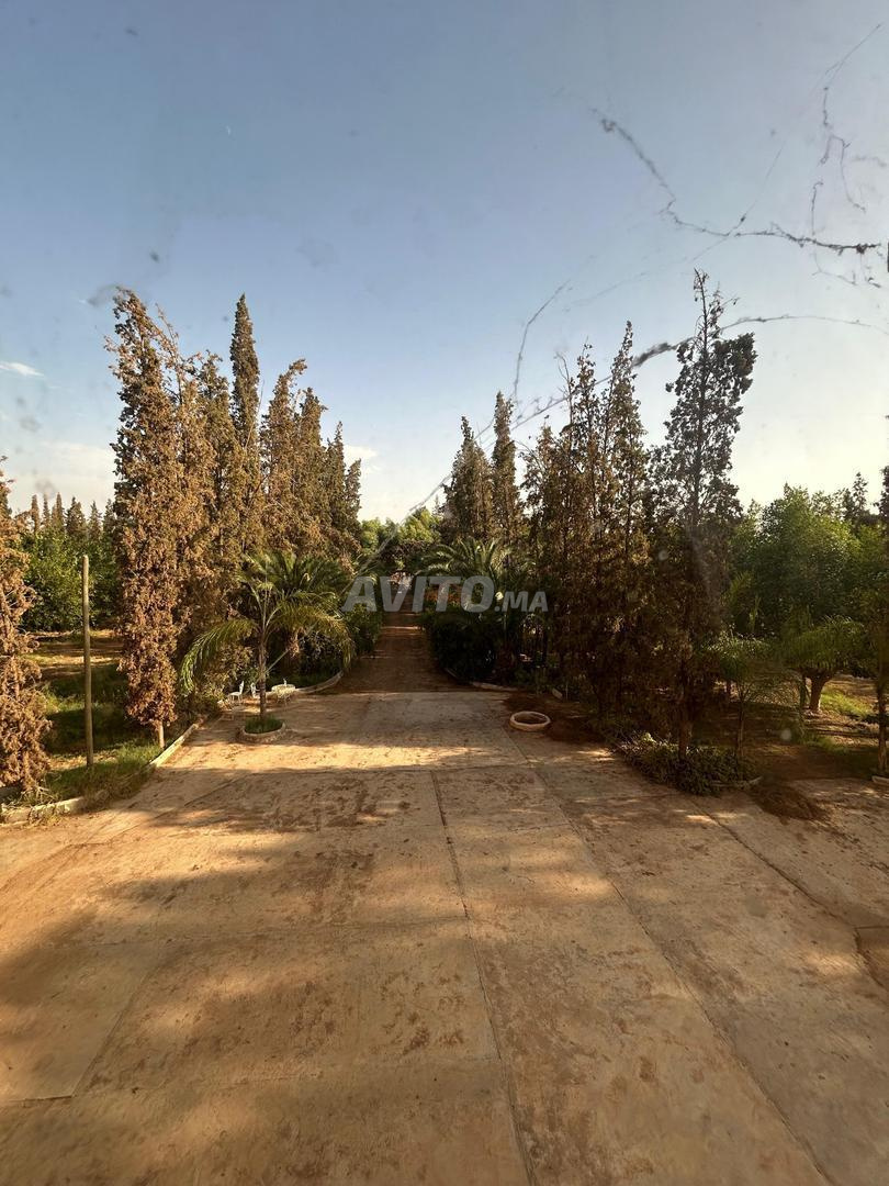 Vente Terrain agricole de 260000 m2 à Marrakech