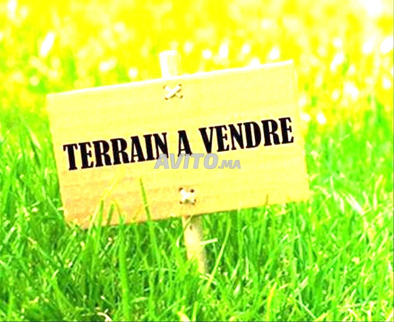 Terrain à vendre Commerce