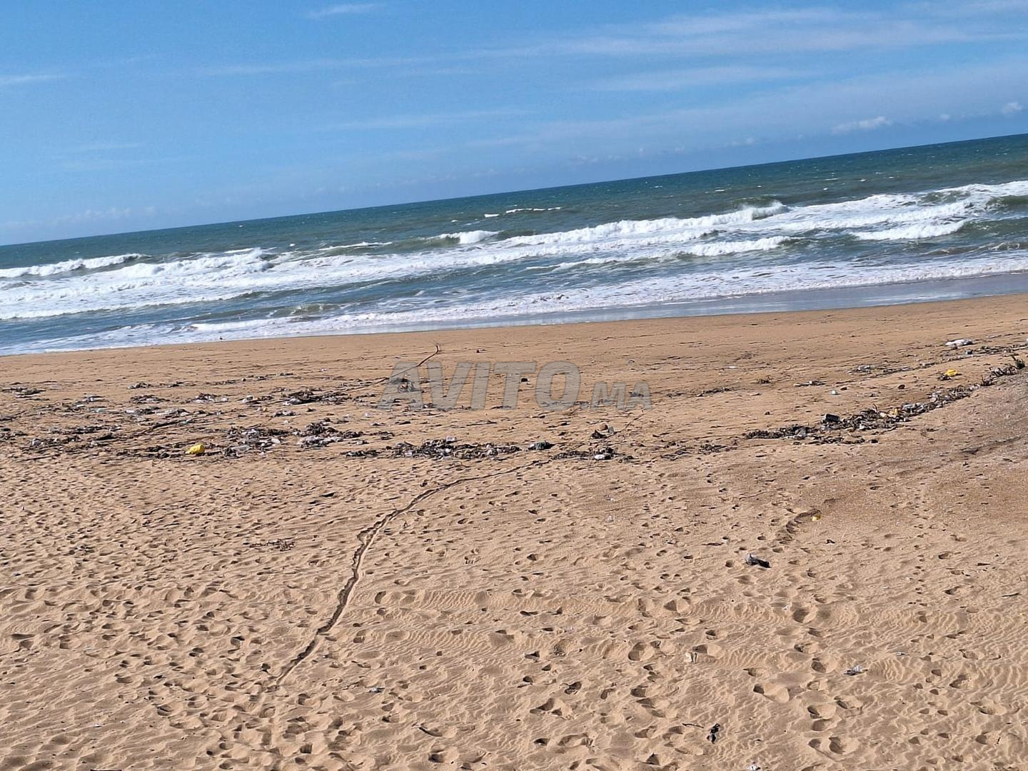 Terrain pour projet touristique vue sur mer