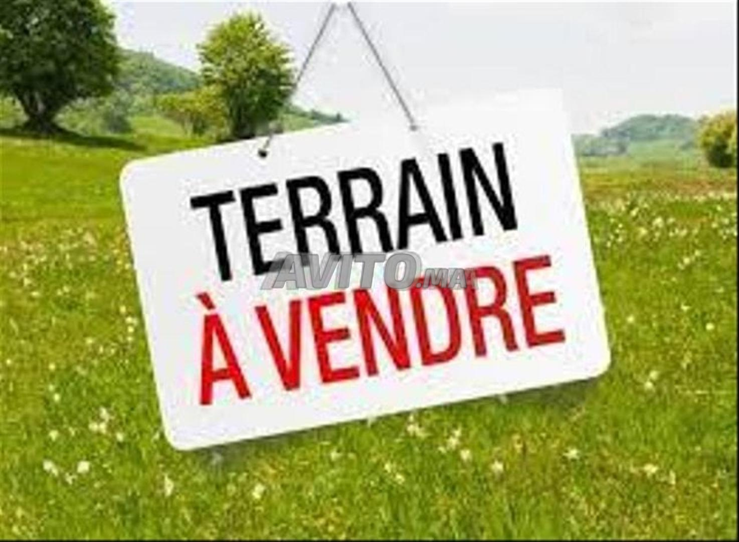 Terrain zone immeuble à vendre sur Hassan.