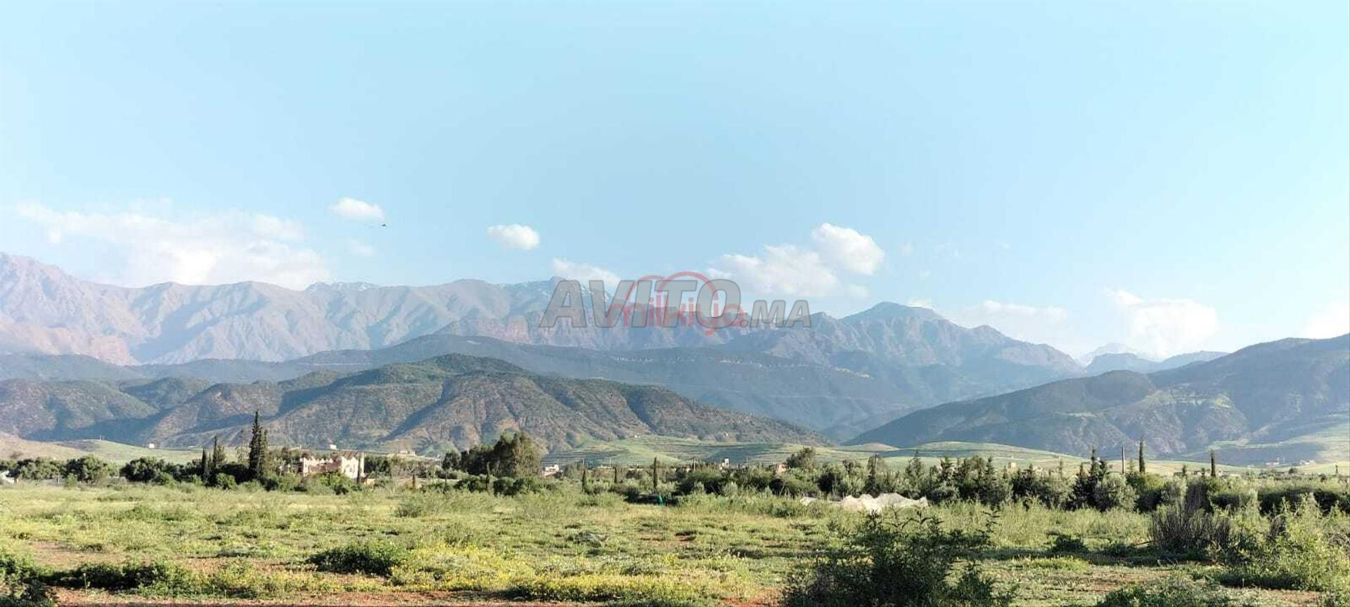 Vente Terrain agricole de 52330 m2 à Marrakech