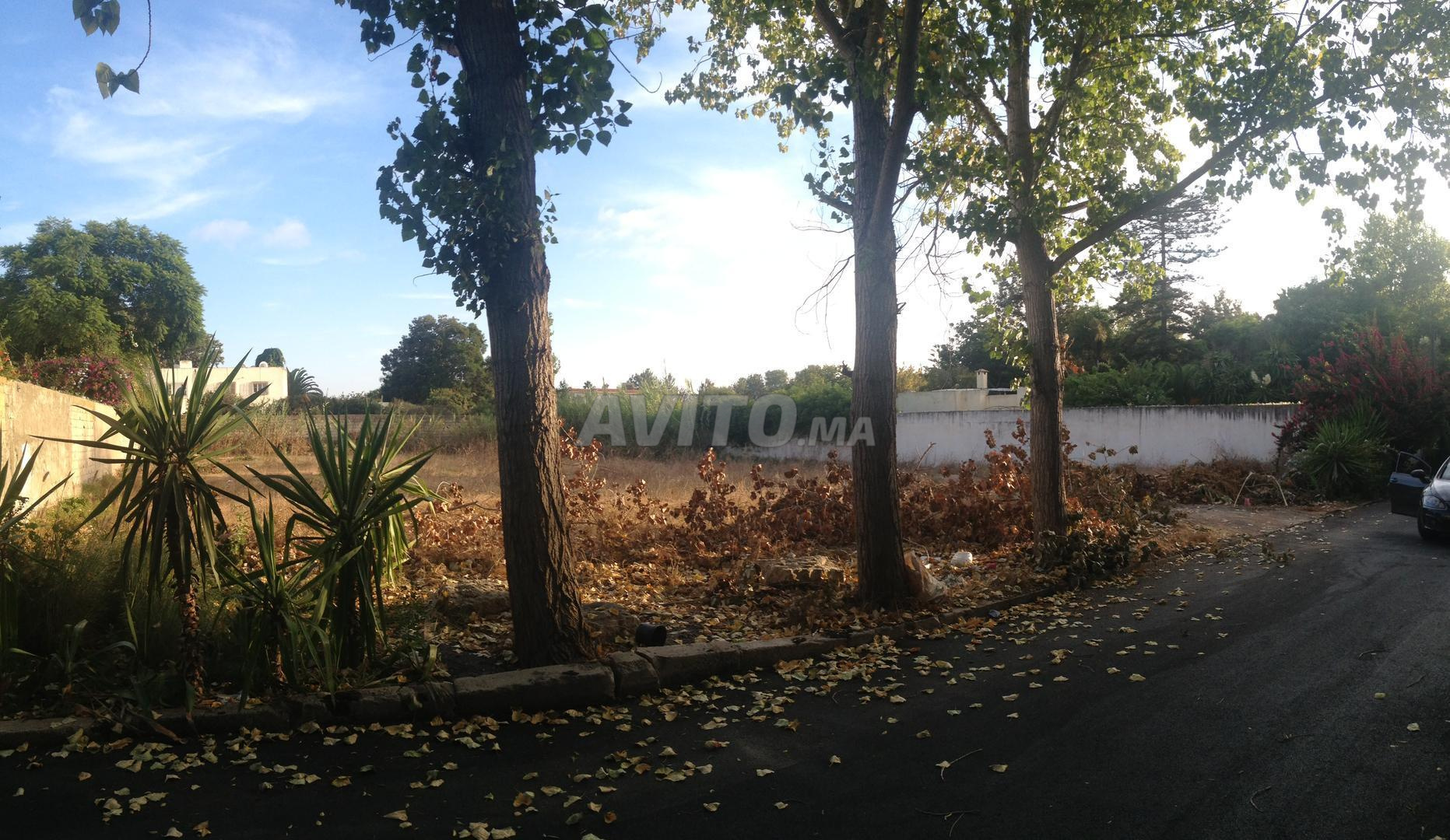 À VENDRE Terrain de1100 m² sur le Boulevard Attine