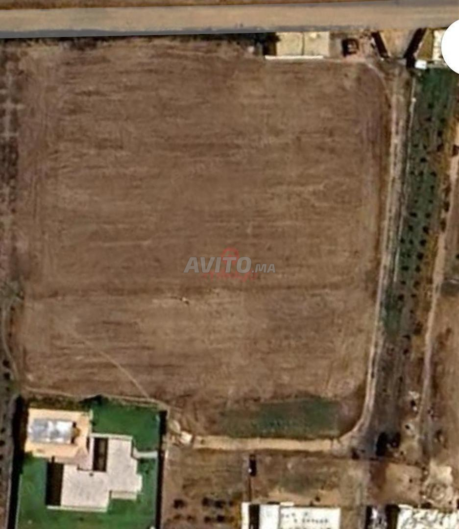 Vente Ferme de 10000 m2 à Had Soualem