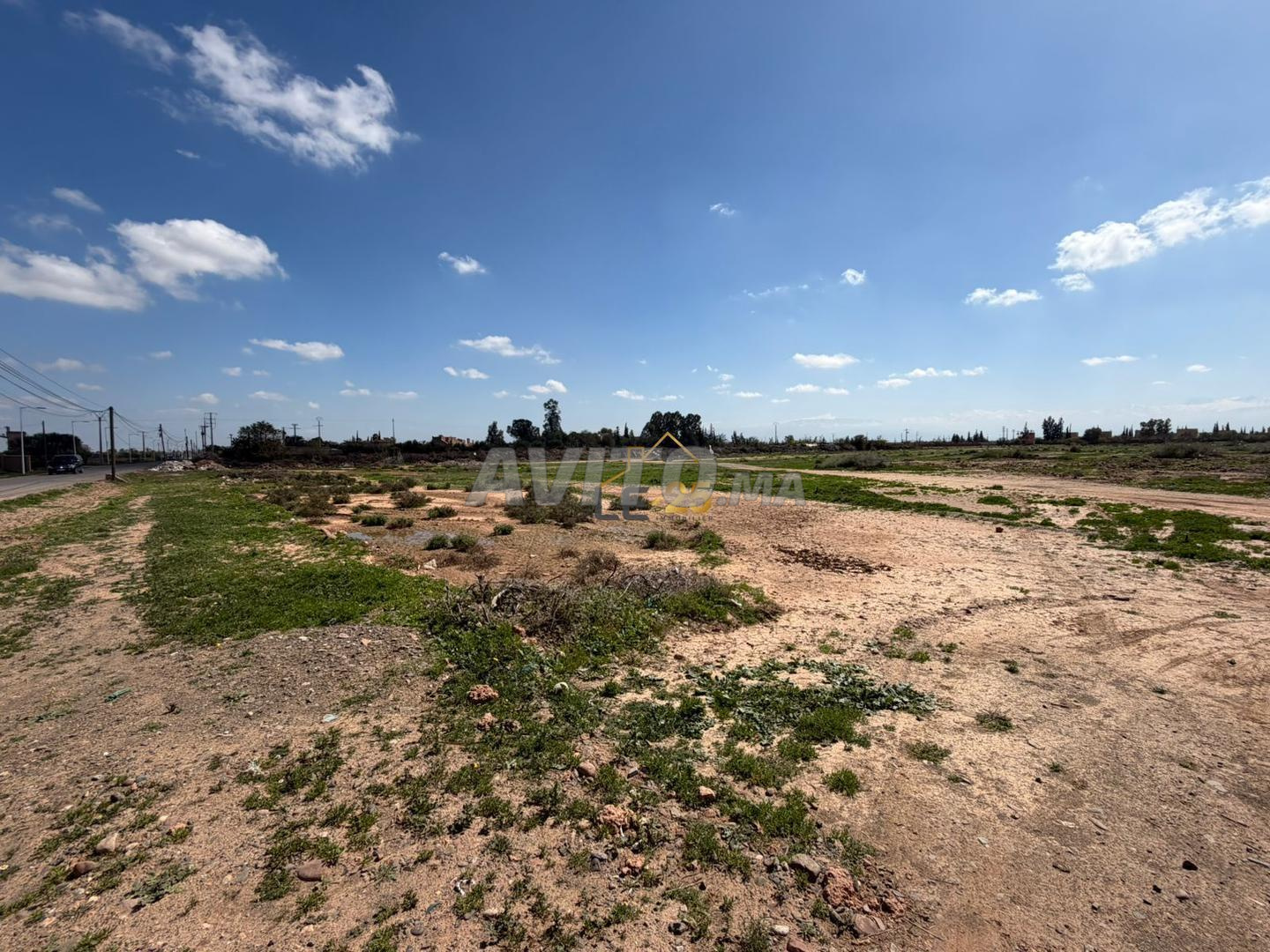 Terrains À Vendre – Opportunité Rare À Marrakech
