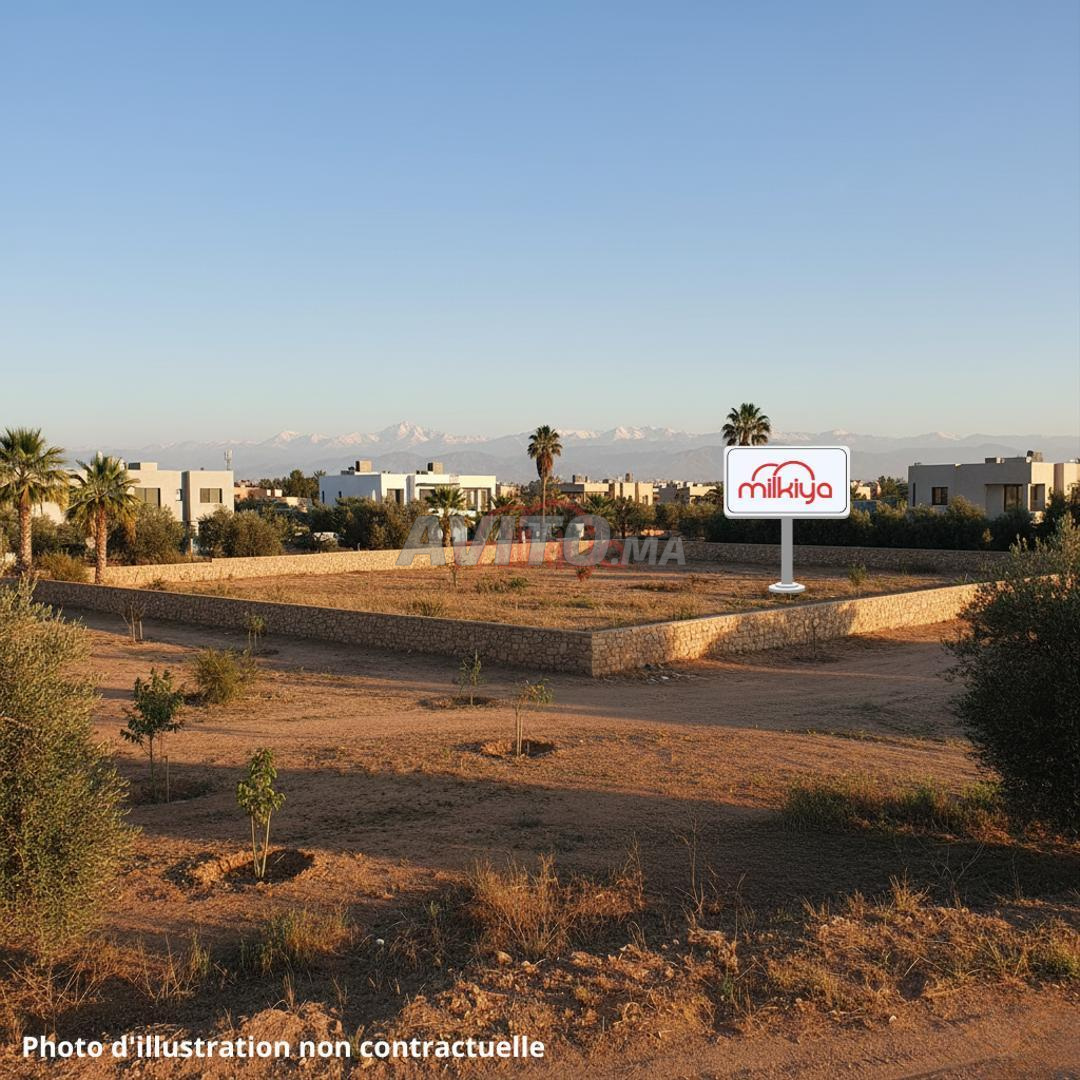 Vente Terrain nu de 1197 m2 à Marrakech