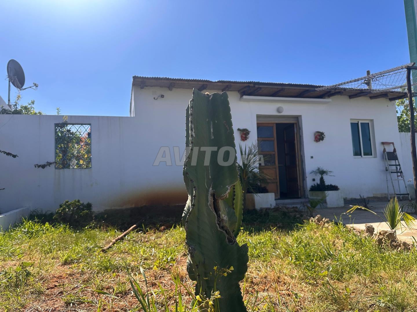 Maison de campagne à vendre à Asilah
