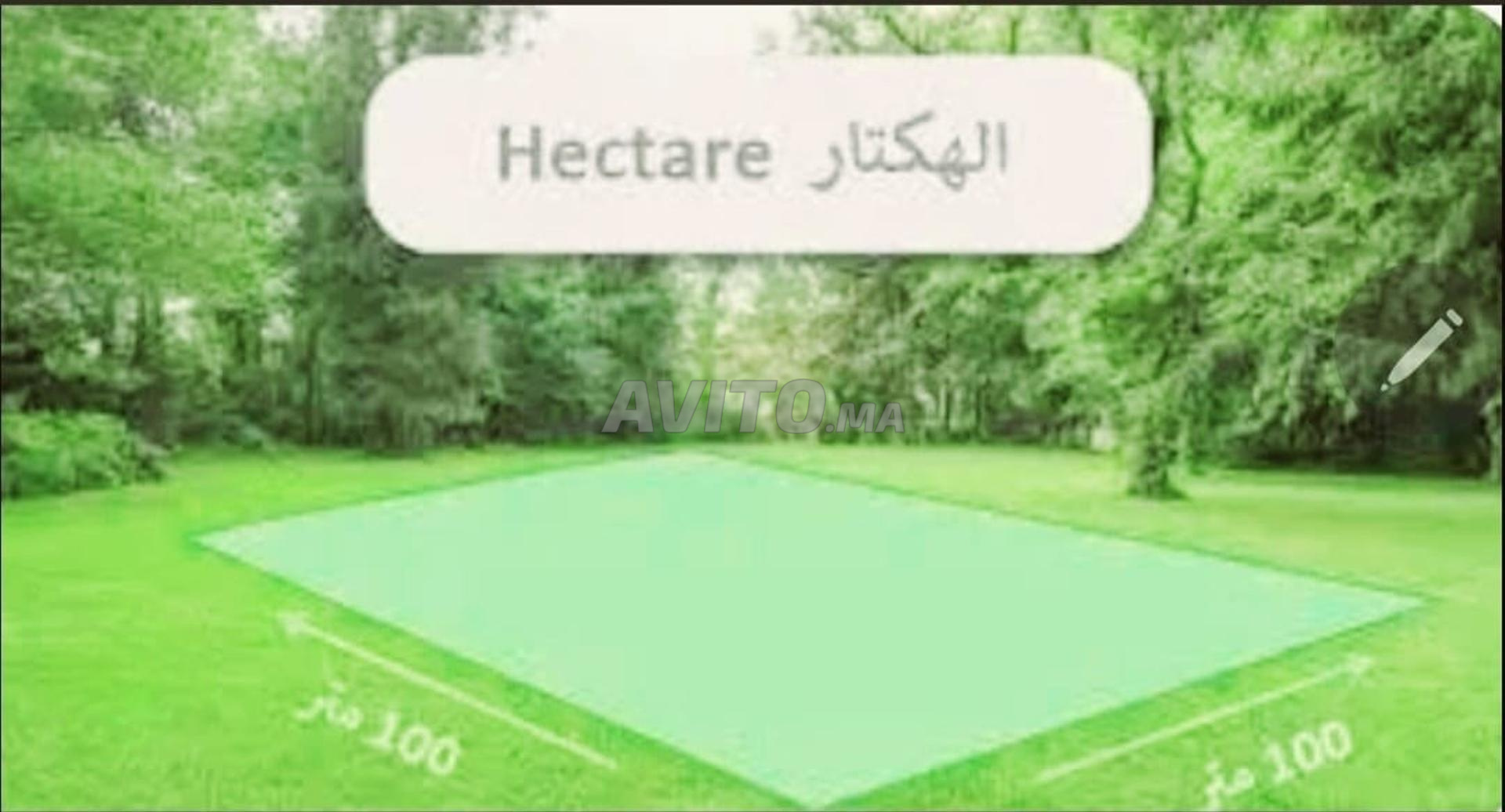 Hectare à vendre près du Palais Royal - El Bassatine - Mohammedia