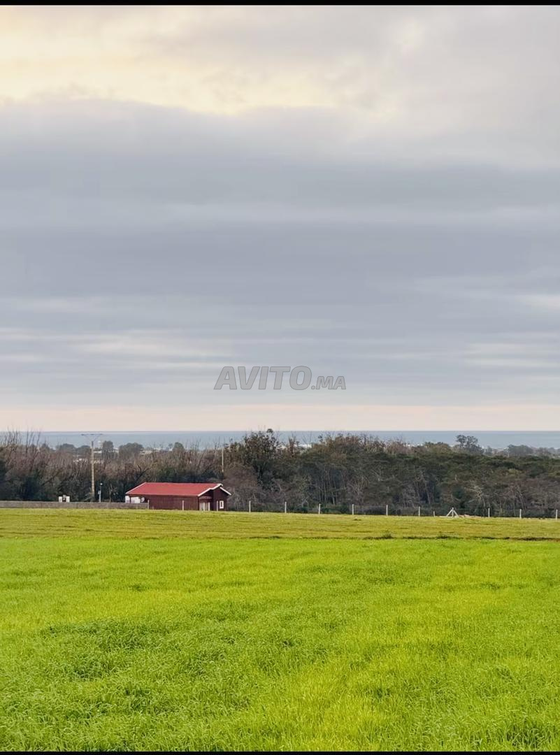 Hectare 10000 m2 titré Sidi Rahal