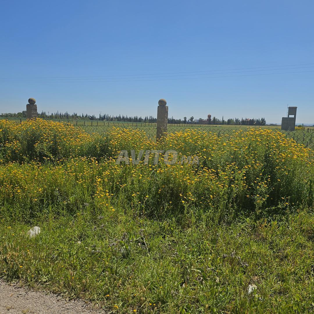 Un hectare à vendre
