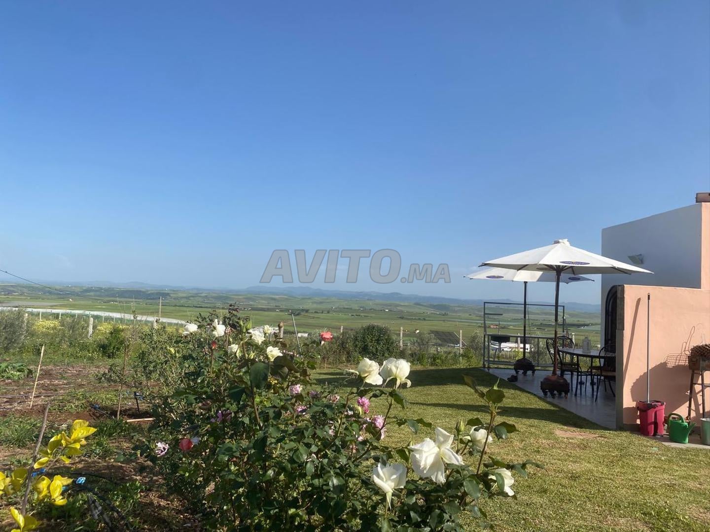 Petite ferme de charme titrée près à Rabat 1,23 ha