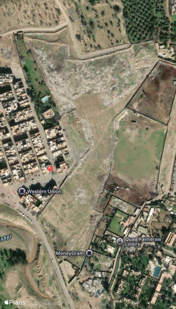 Terrain titré à vendre – Palmeraie de Marrakech 🌴