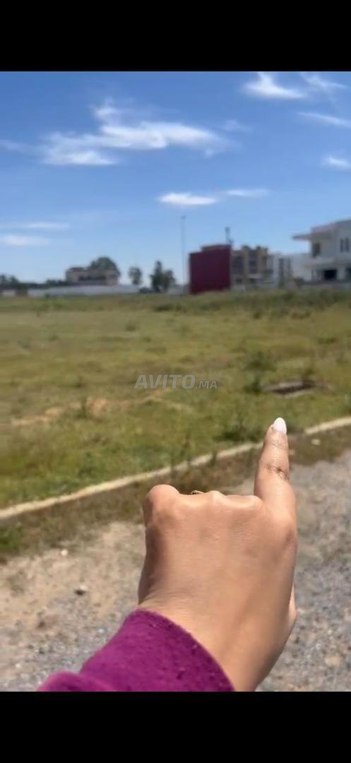 Terrain à vendre pour Villa à EL ASSAM KENITRA