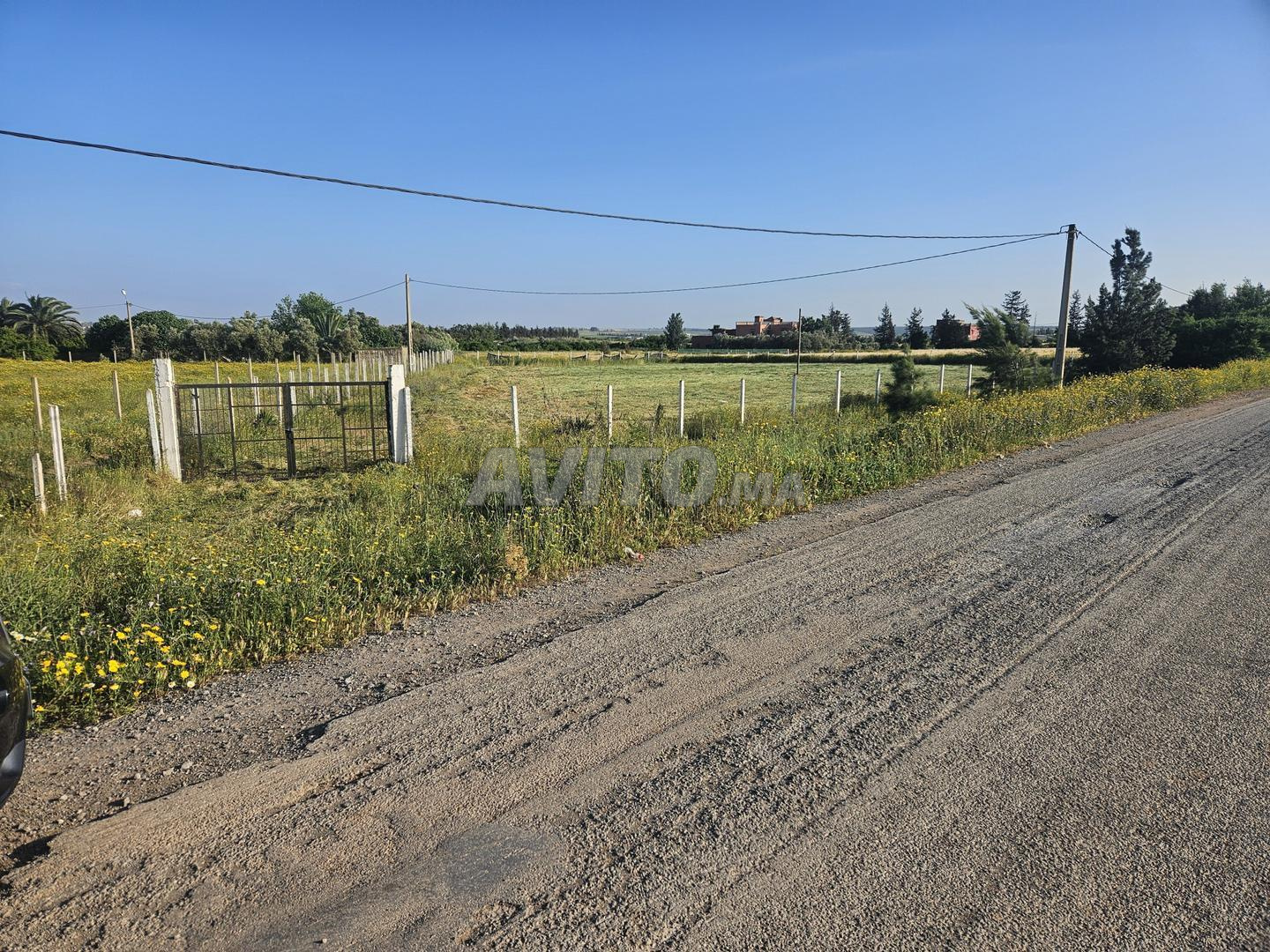 Terrain à vendre – 2500 m² titré