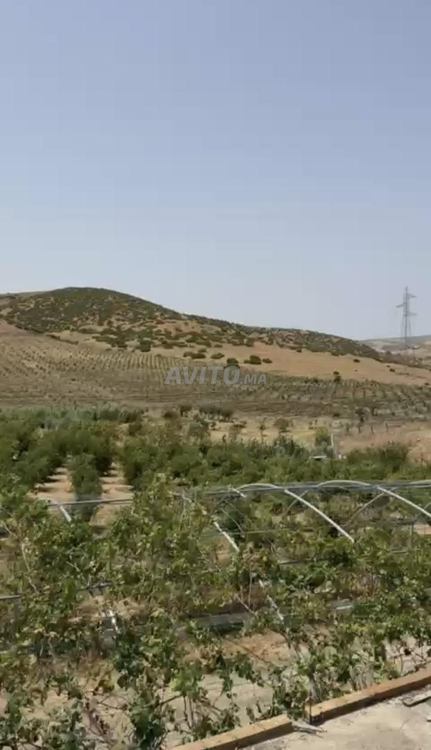 Terrain agricole de 7 hectares enregistré à vendre