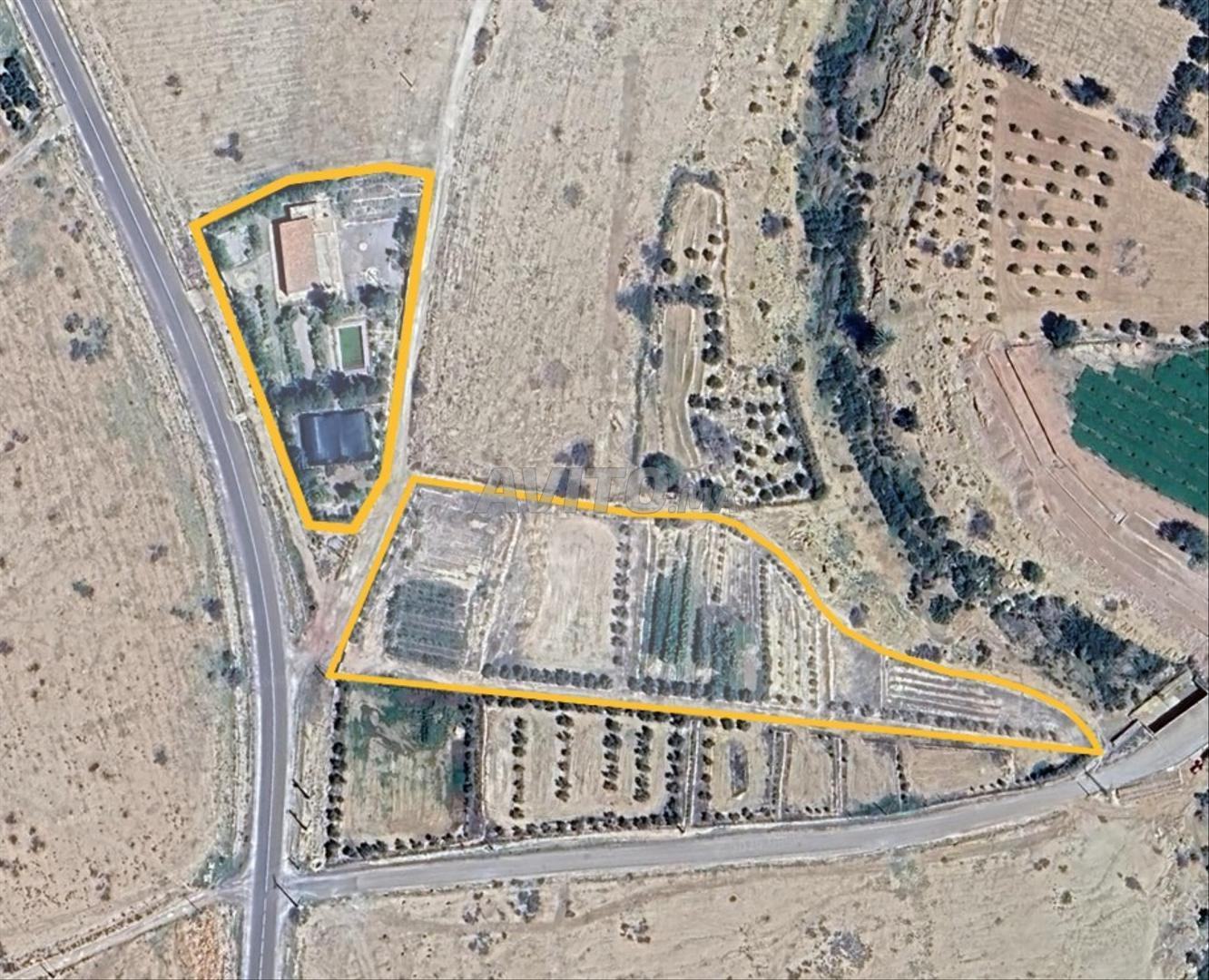 Terrain À Vendre 1,1Ha. Oujda - Route Tayret