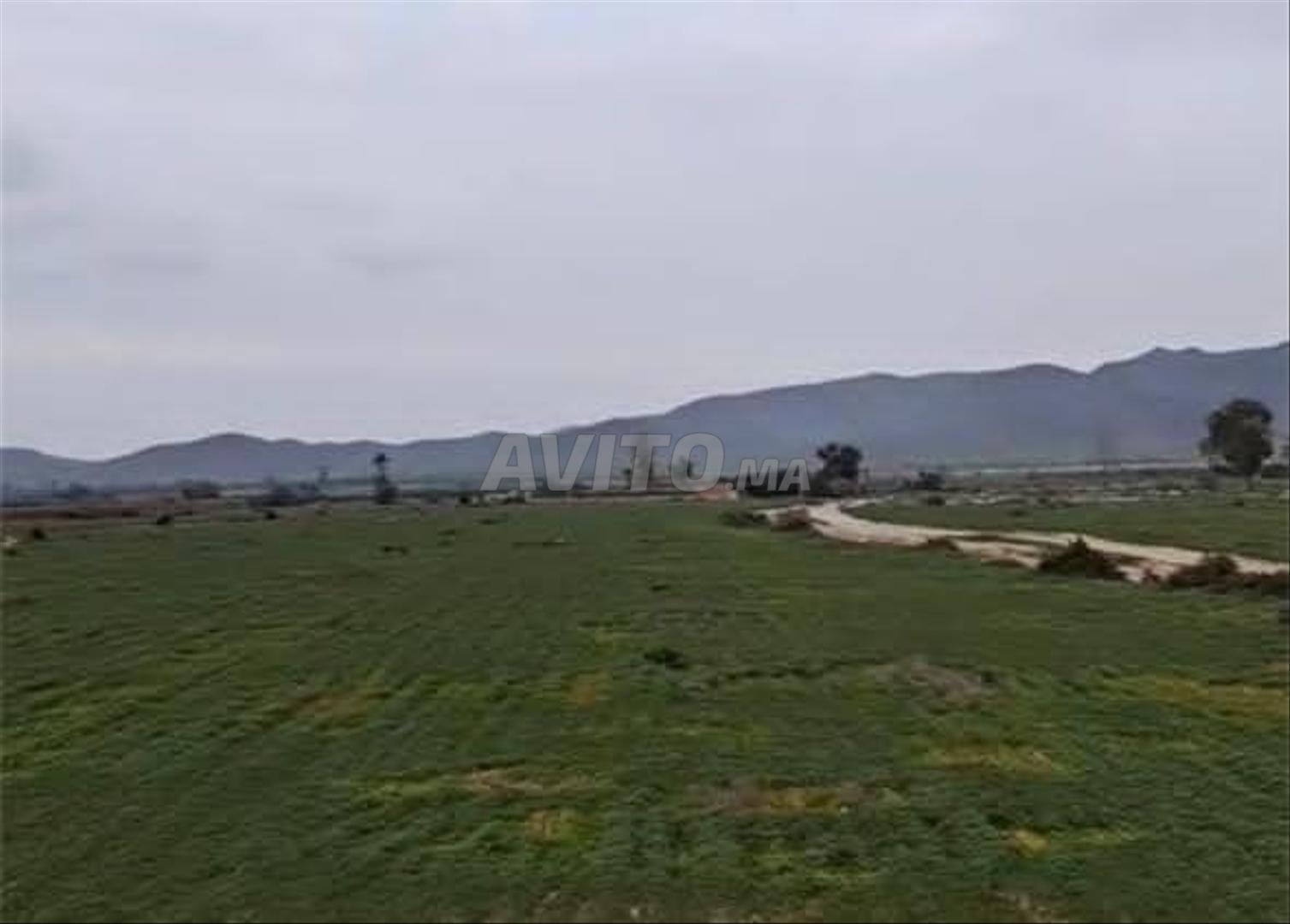 Terrain à vendre 20000m² titré