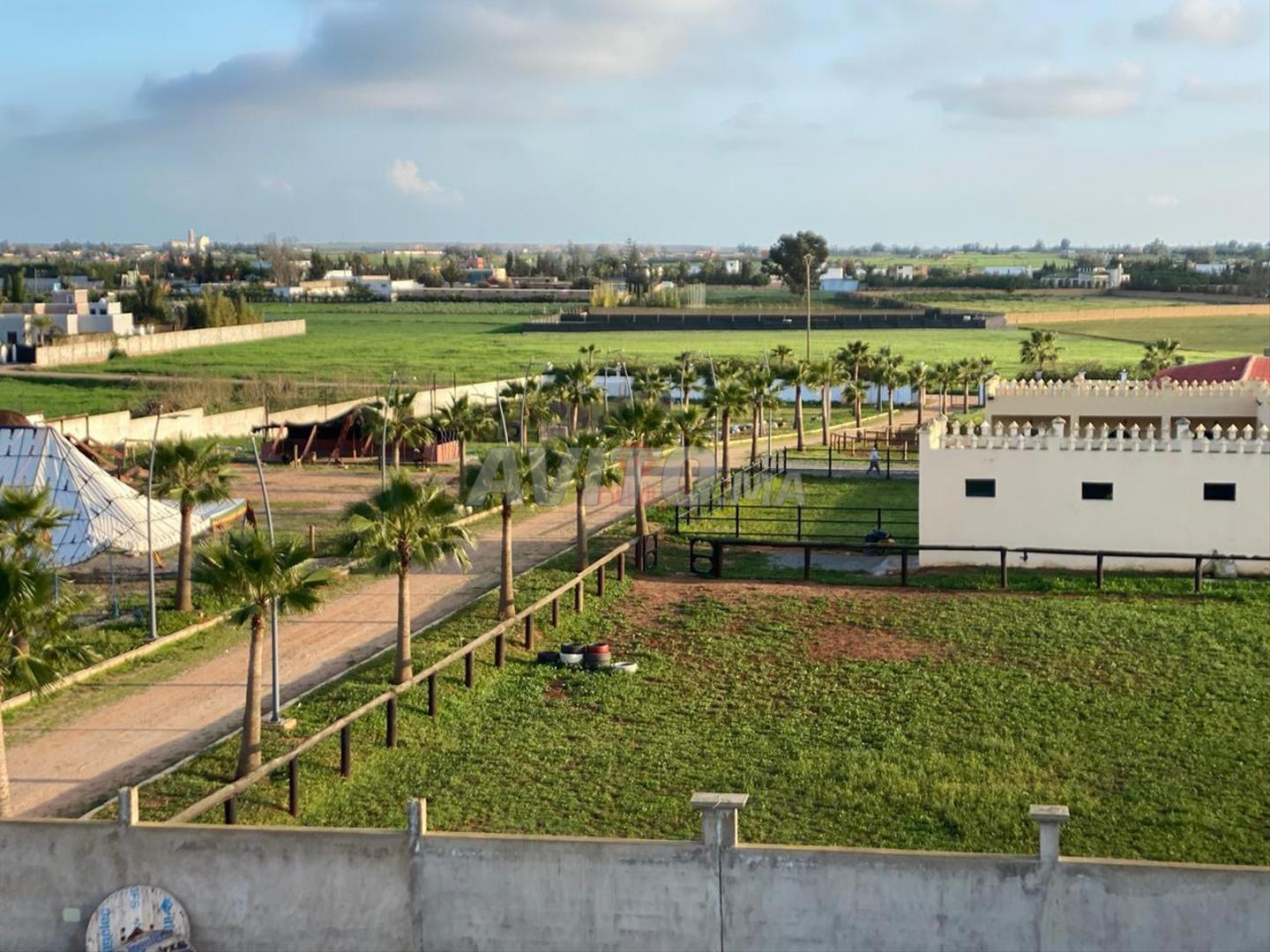 Vente Ferme de 20000 m2 à Bouskoura