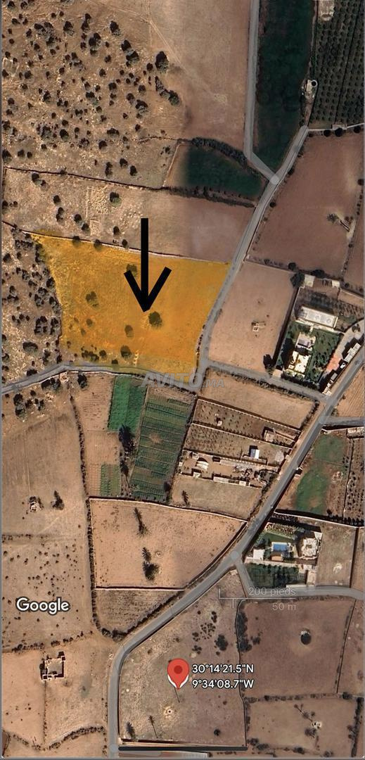 🏡 Terrain 14 000 m² à vendre – Fort potentiel