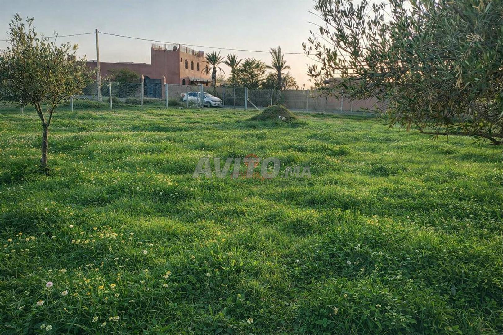 Vente Terrain nu de 2763 m2 à Marrakech