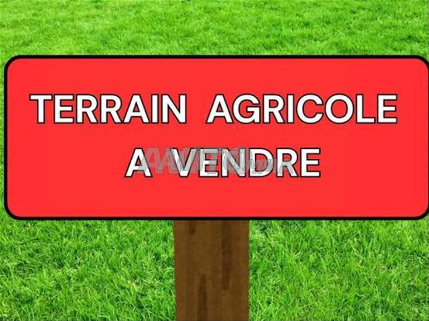 74 HECTARES A VENDRE