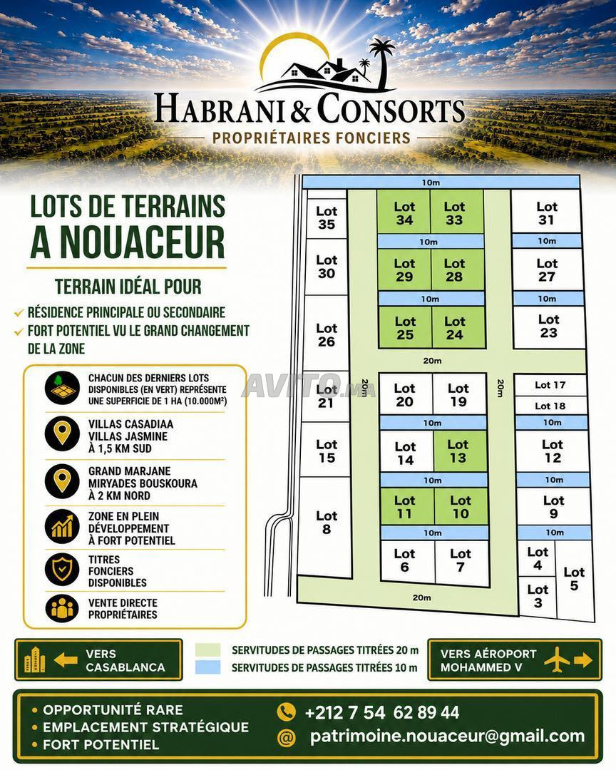 🌿 LOTS DE TERRAINS À NOUACEUR – OPPORTUNITÉ RARE 🌿