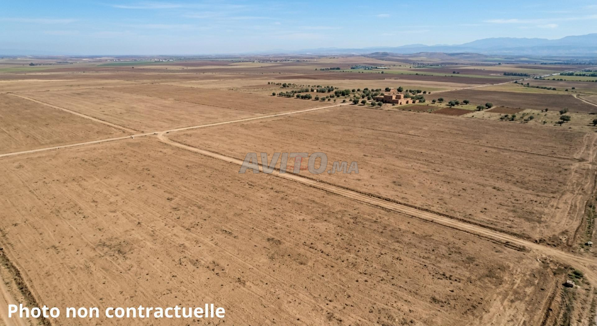 Vente Terrain nu de 15294 m2 à Berrechid