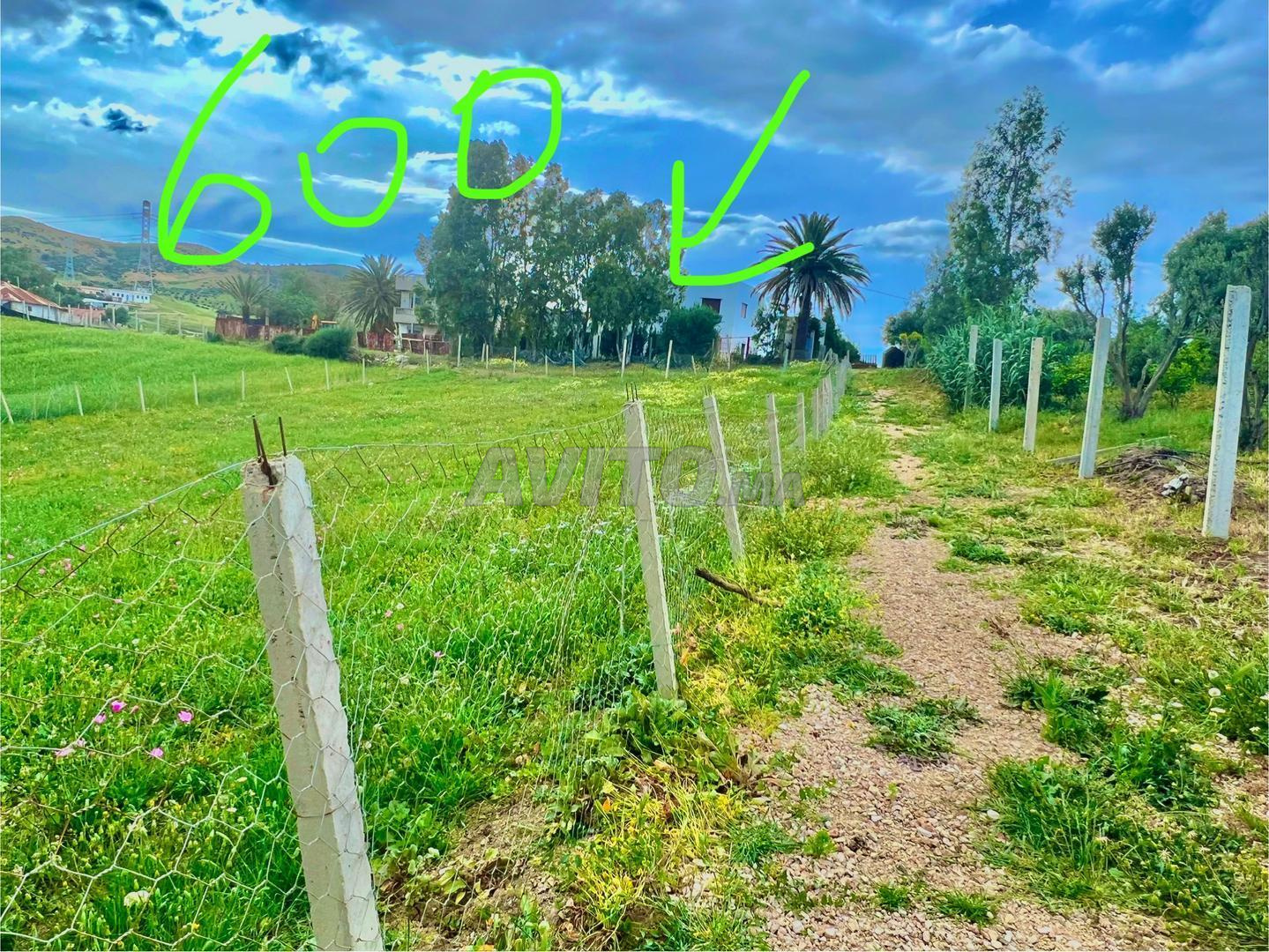 Terrain à vendre 630 m² route Tanger-Tétouan