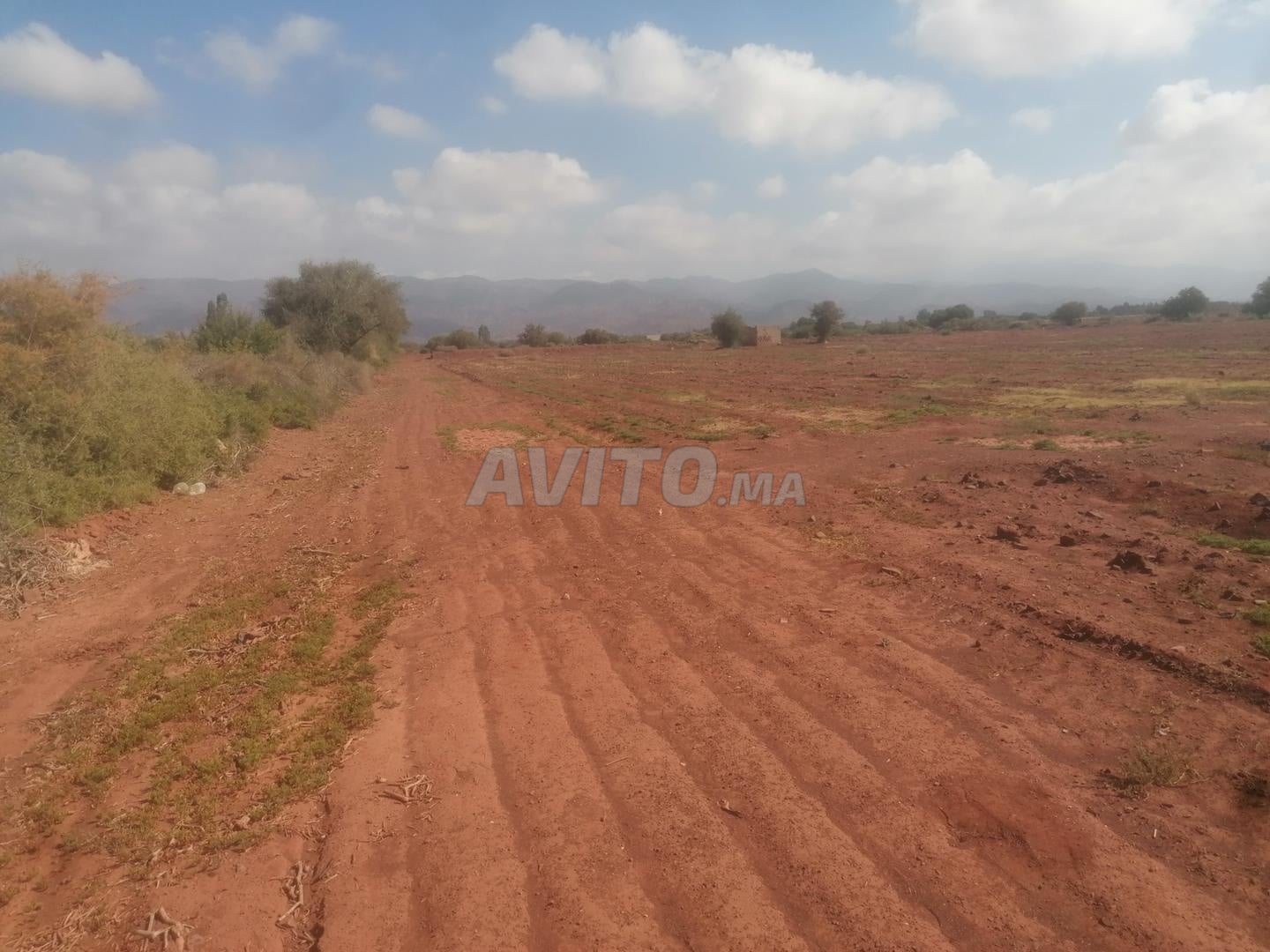 Terrain à vendre près d'Agadir