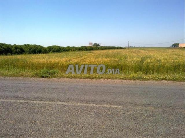 Terrains et fermes conservés à vendre | Sidi Rahal