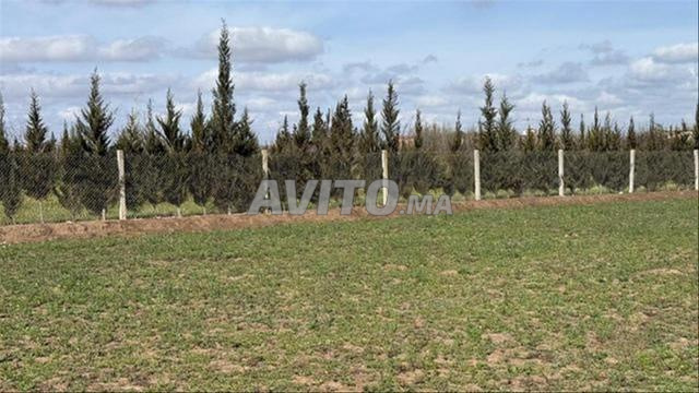 Terrains enregistrés à vendre | Sidi Rahal - Vue sur mer