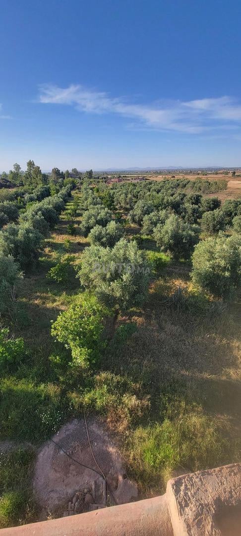 Ferme à vendre Tamazouzt Sidi Abdellah Ghiat Marrakech