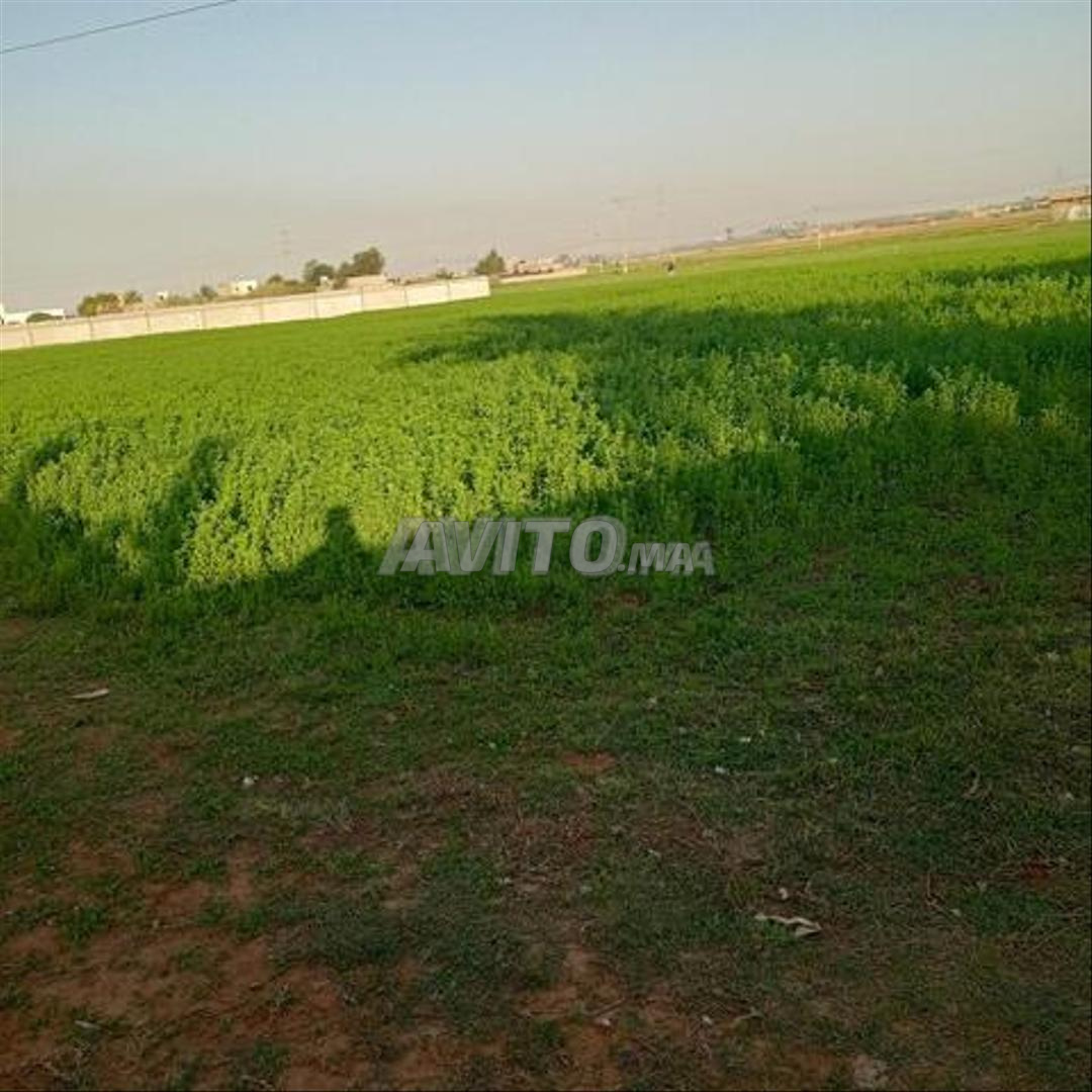 Vente de terrains titrés – Sidi Rahal, Bord de Mer