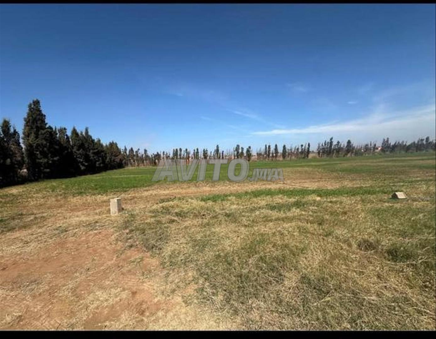 Terrain titré à vendre – Vue mer, Sidi Rahal