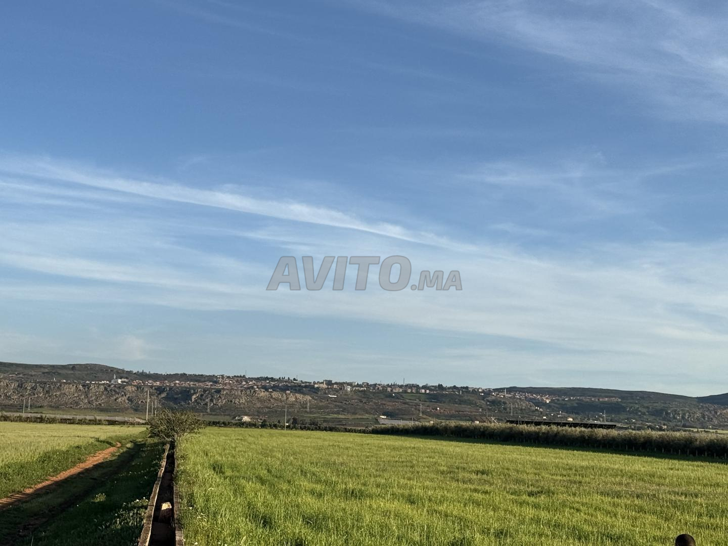 3 Hectares à vendre