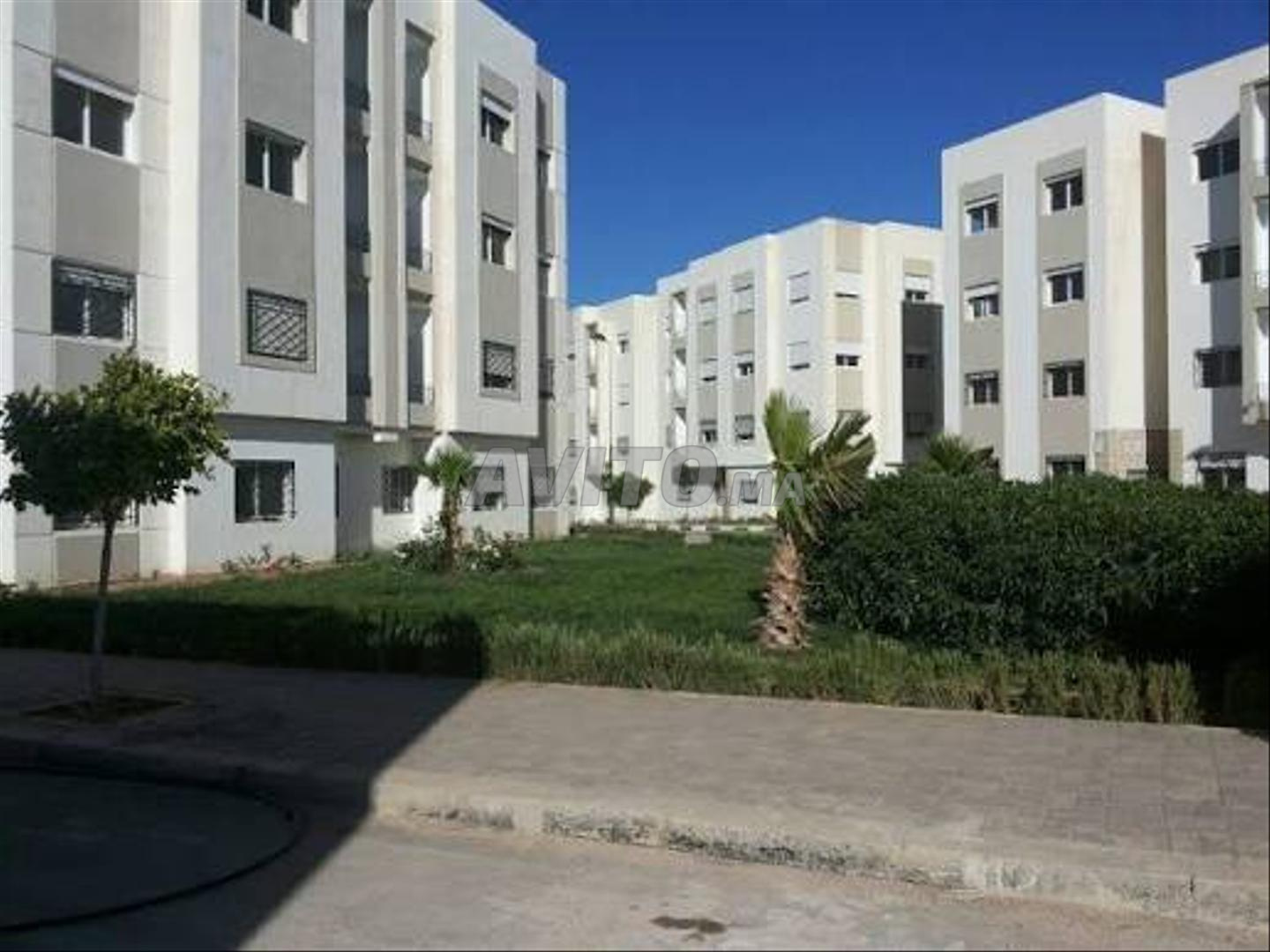 Appartement à louer Kenzi 5